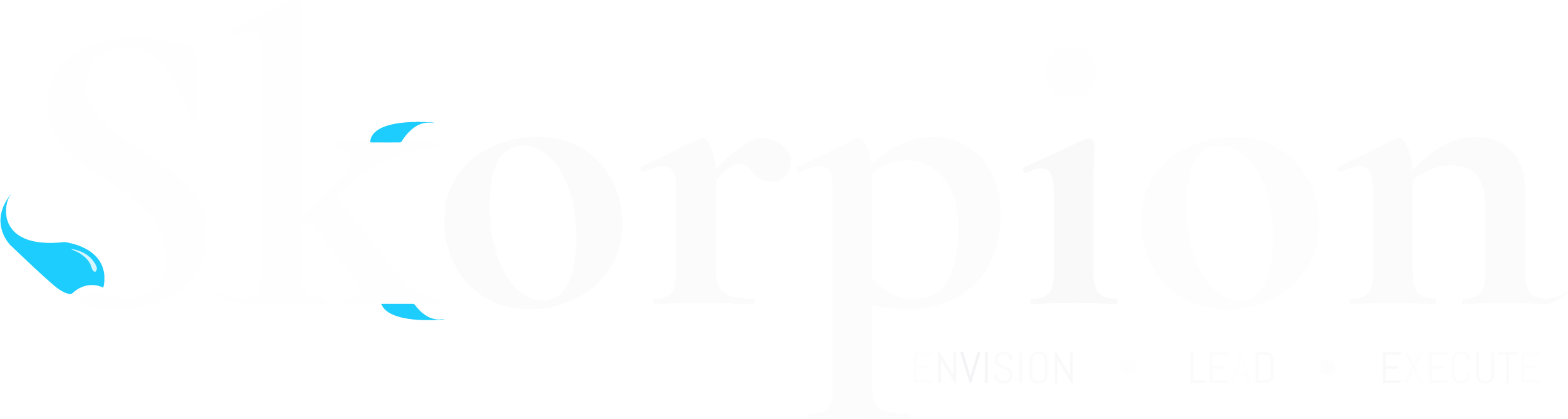 Skorpion Digi Solutions